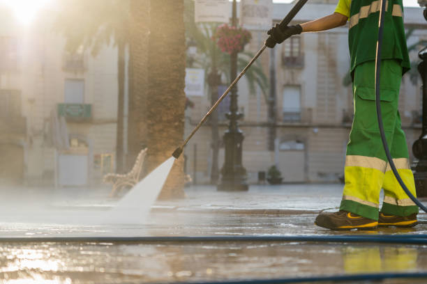 Best Roof Pressure Washing  in Ecorse, MI